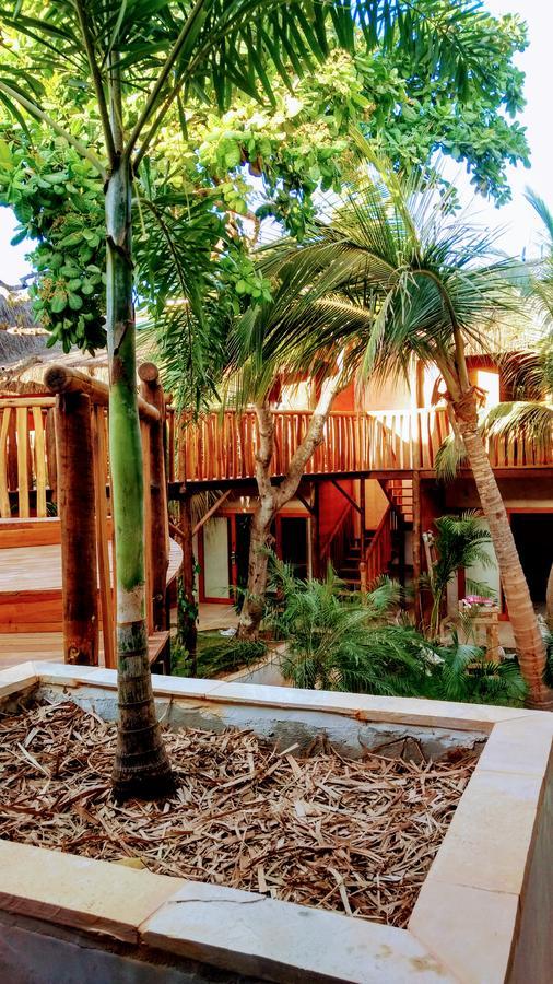 ז'יז'וקה דה ז'ריקואקוארה Hurricane Jeri Gardens מראה חיצוני תמונה